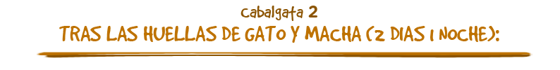 cabalgata2